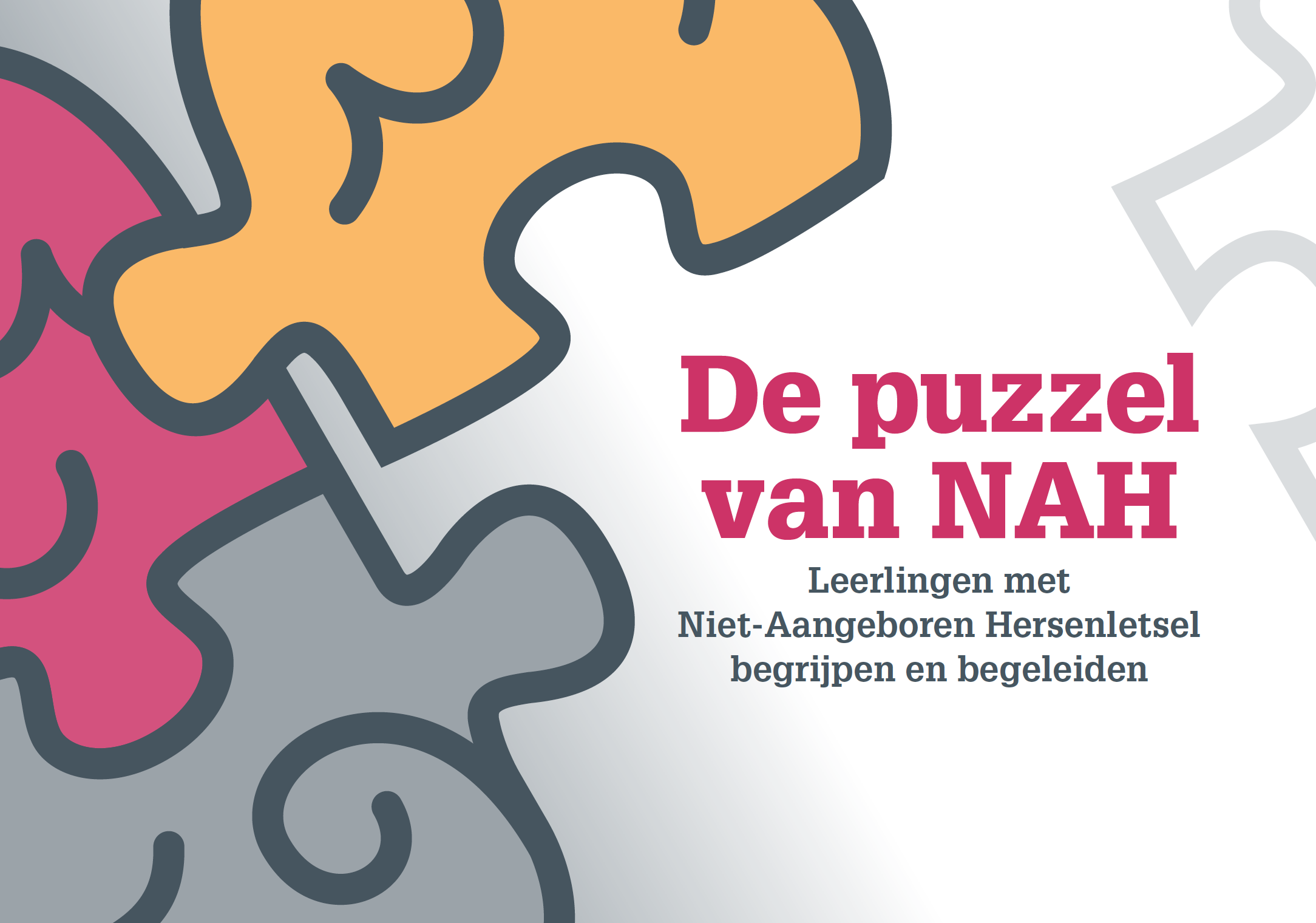 De Puzzel van NAH
